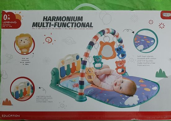 Baby Musical Gym